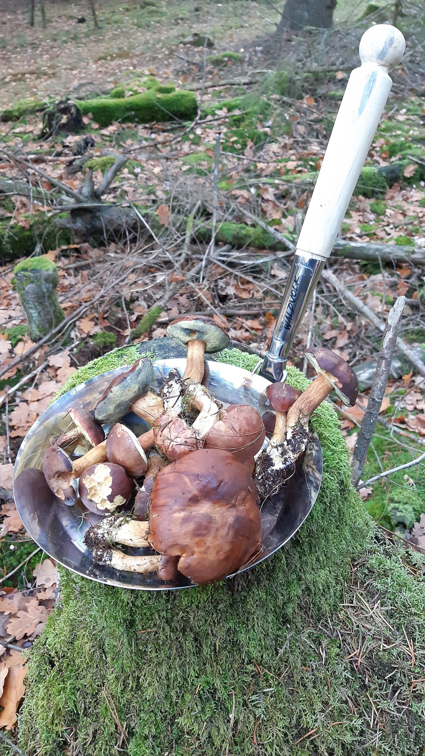 Waldvolk „Hozhauer-Pfanne“ – Bild 3