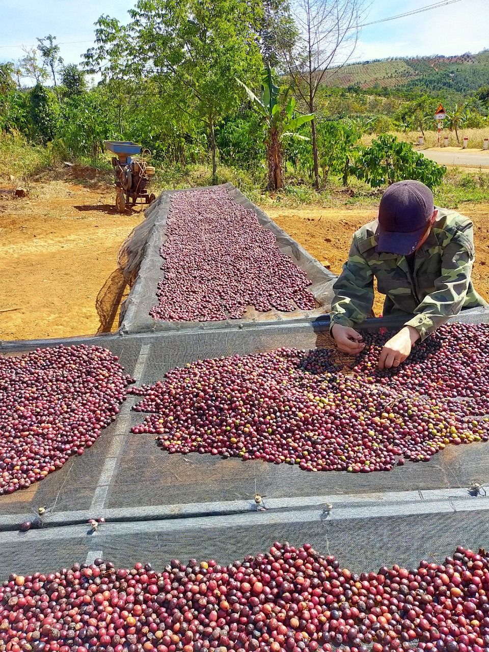 LAGERFEUER KAFFEE / Wiesel -Honig- Kaffee Set – Bild 4