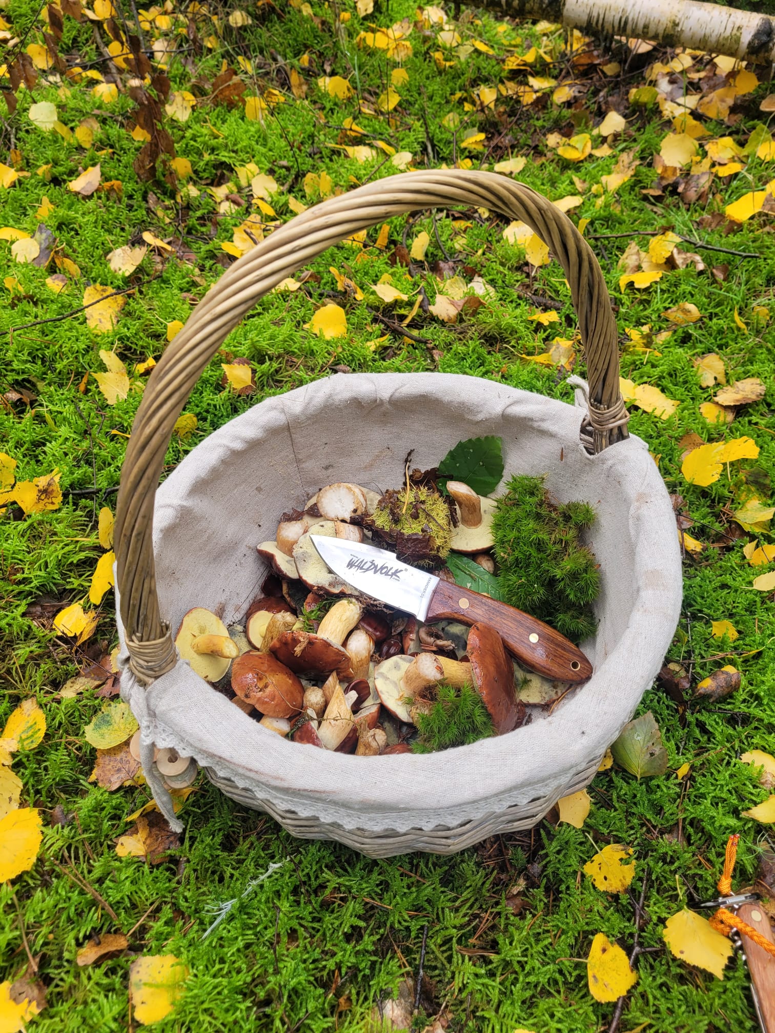 Waldvolk Bushcraftmesser KANADIER handgeschmiedet – Bild 4