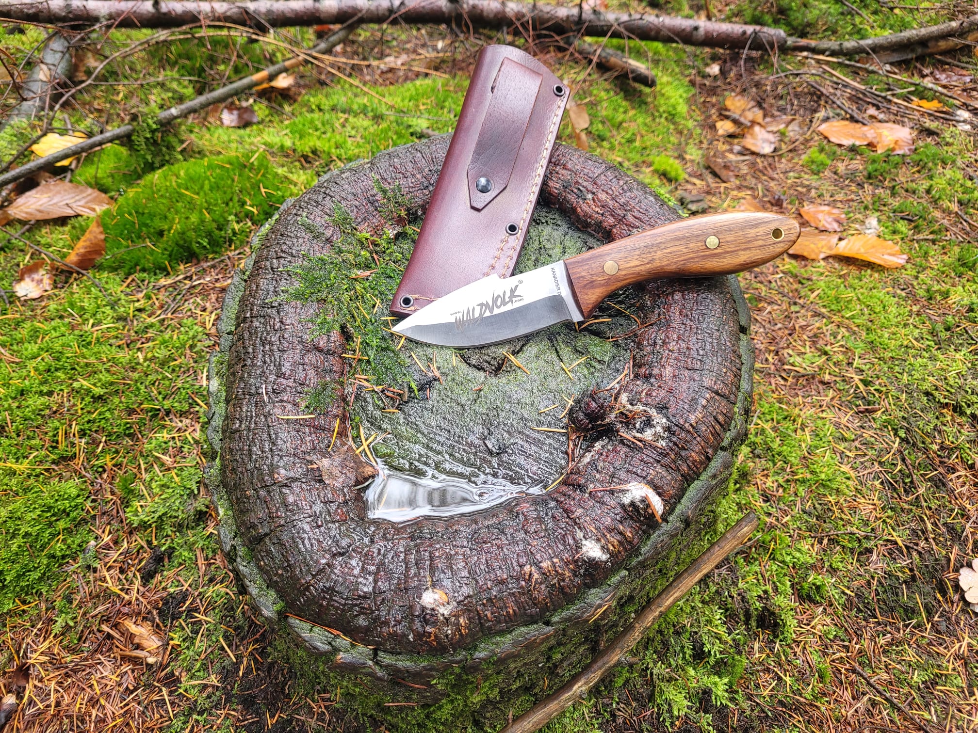 Waldvolk Bushcraftmesser KANADIER handgeschmiedet – Bild 5