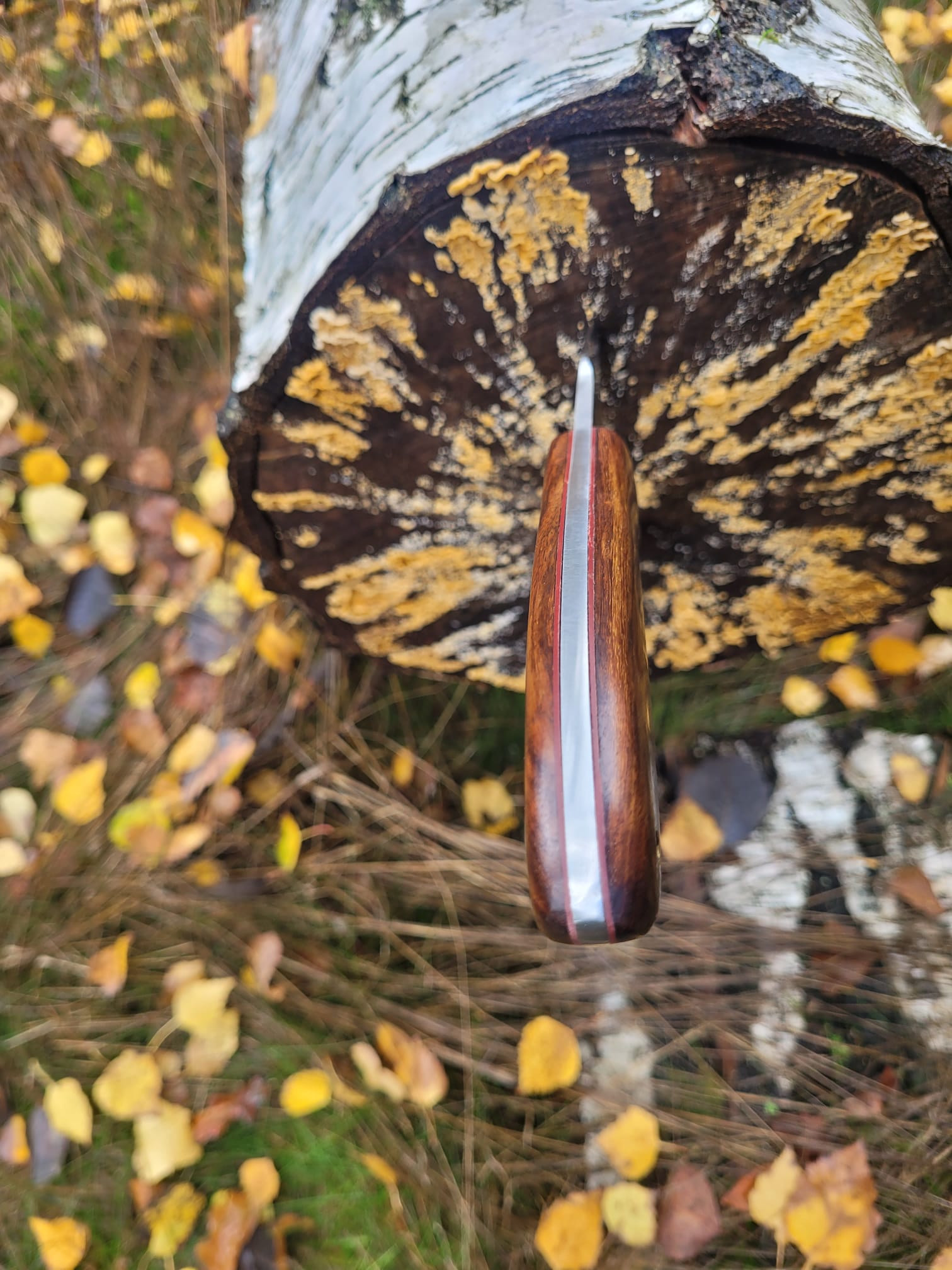 Waldvolk Bushcraftmesser KANADIER handgeschmiedet – Bild 7