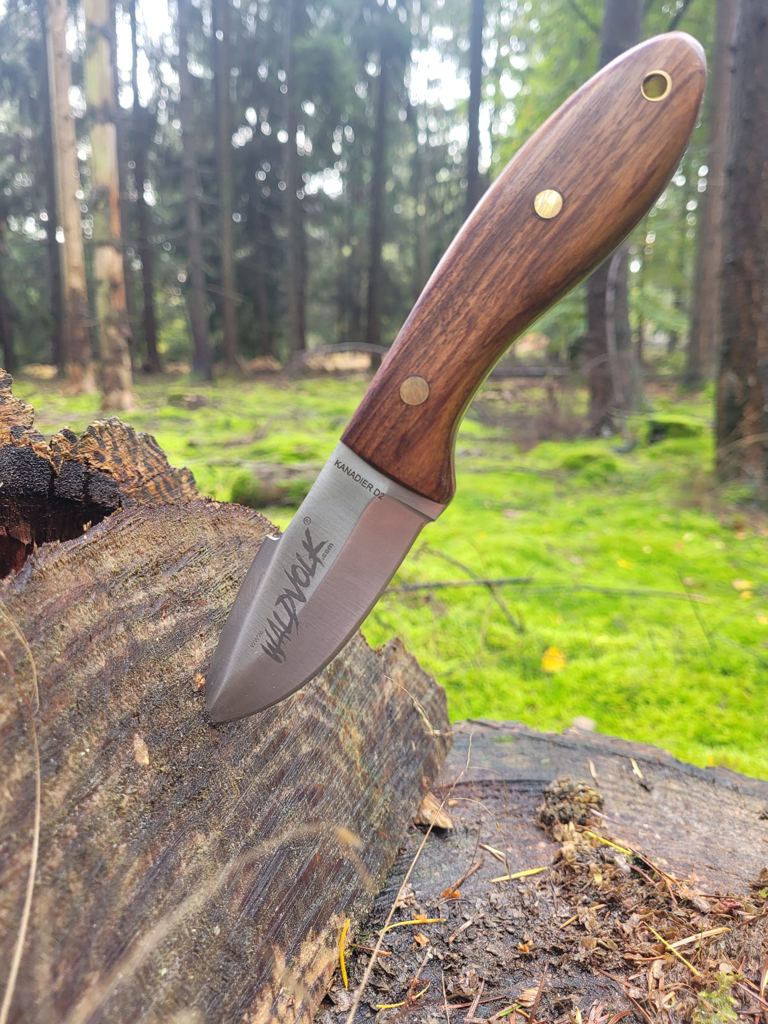 Waldvolk Bushcraftmesser KANADIER handgeschmiedet – Bild 3